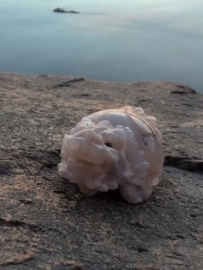 Turtle Dragon Baby Sakura Agate Cherry Blossom